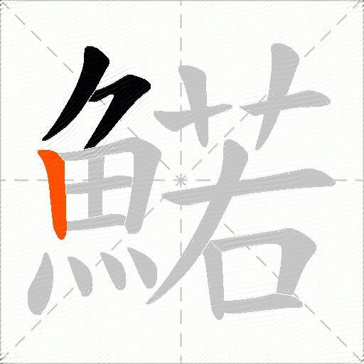 鰙