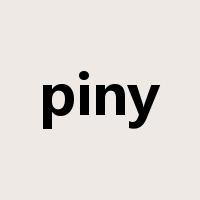 piny是什么意思
