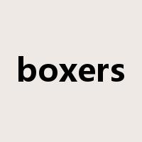 boxers是什么意思