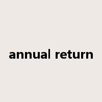 annual return是什么意思