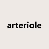 arteriole是什么意思
