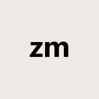 zm是什么意思