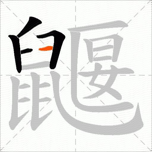 鼴
