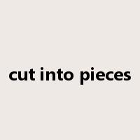 cut into pieces是什么意思