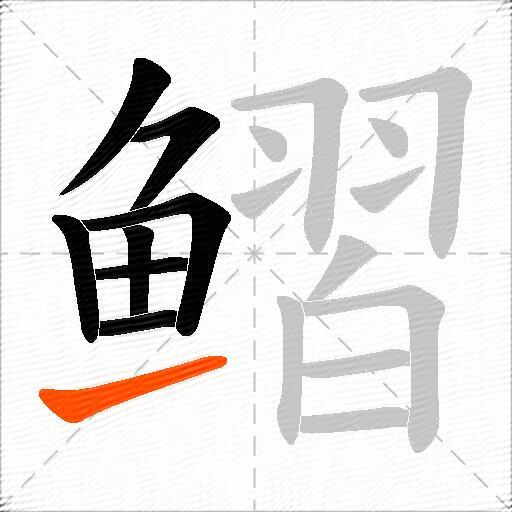 鳛