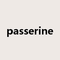 passerine是什么意思