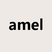 amel是什么意思