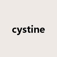 cystine是什么意思