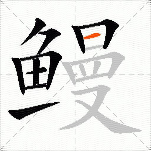 鳗