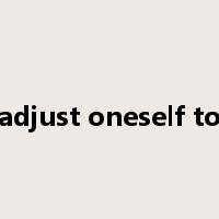 adjust oneself to是什么意思