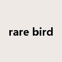 rare bird是什么意思