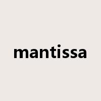 mantissa是什么意思