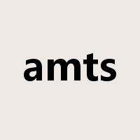 amts是什么意思