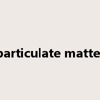 particulate matter是什么意思