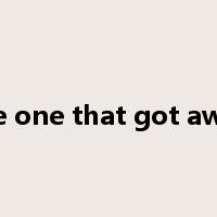 the one that got away是什么意思