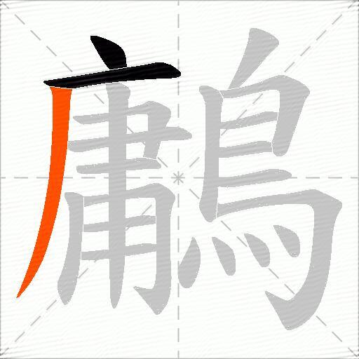 鷛