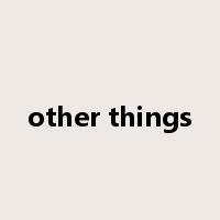 other things是什么意思