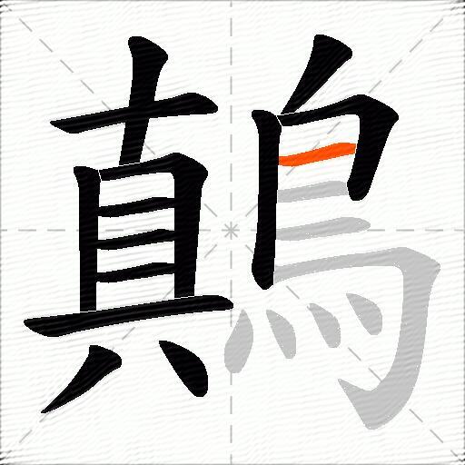 鷏