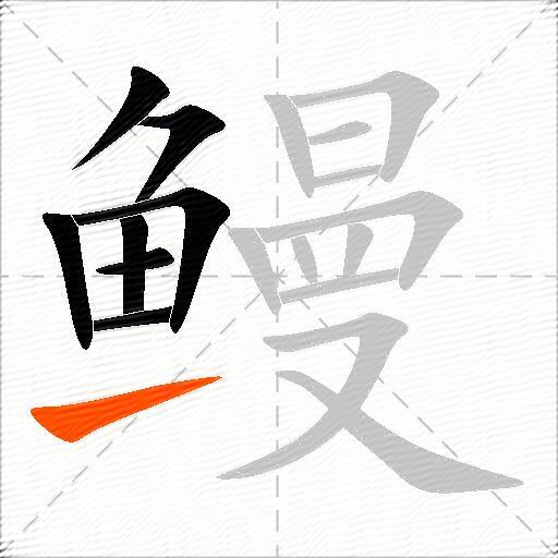 鳗