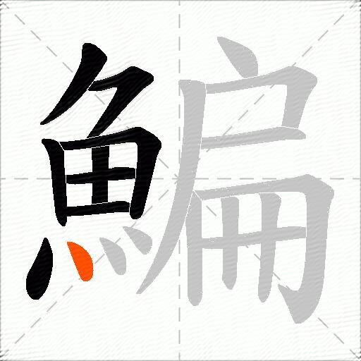 鯿