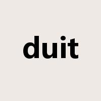 duit是什么意思