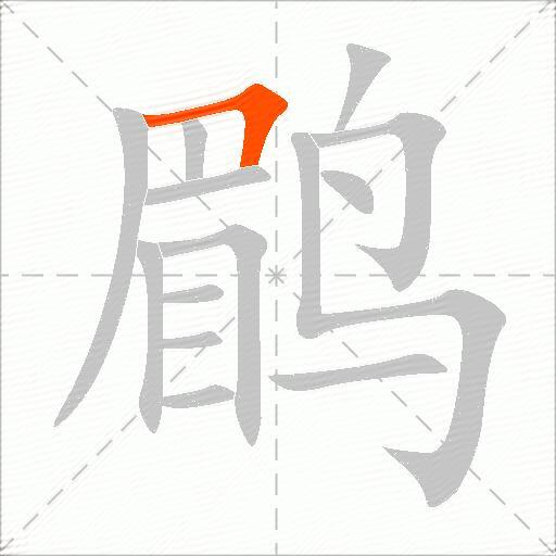 鹛