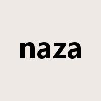 naza是什么意思