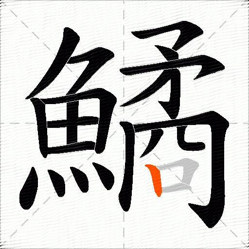 鱊