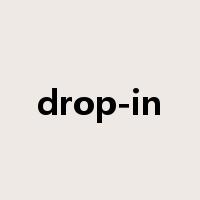 drop-in是什么意思