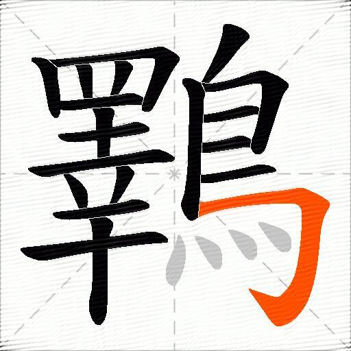 鸅