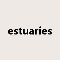 estuaries是什么意思