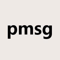pmsg是什么意思