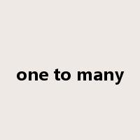 one to many是什么意思