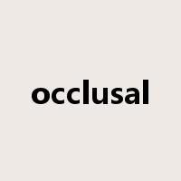 occlusal是什么意思