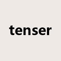 tenser是什么意思