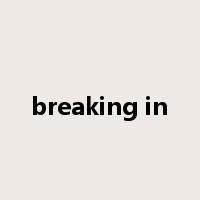 breaking in是什么意思