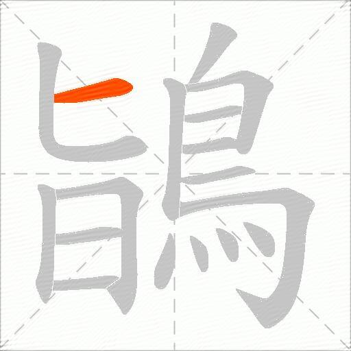 鴲