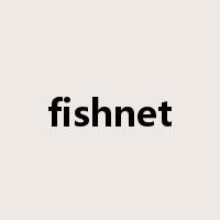 fishnet是什么意思