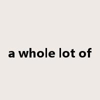 a whole lot of是什么意思