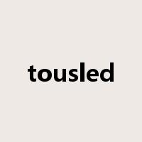 tousled是什么意思