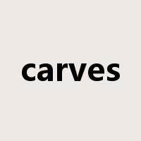 carves是什么意思
