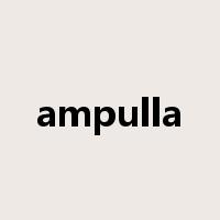 ampulla是什么意思