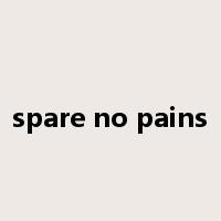spare no pains是什么意思