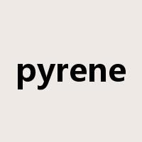 pyrene是什么意思