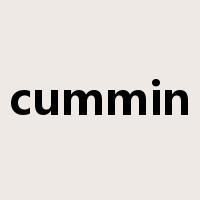 cummin是什么意思