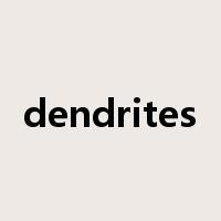 dendrites是什么意思