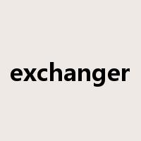 exchanger是什么意思