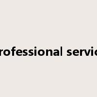 professional service是什么意思