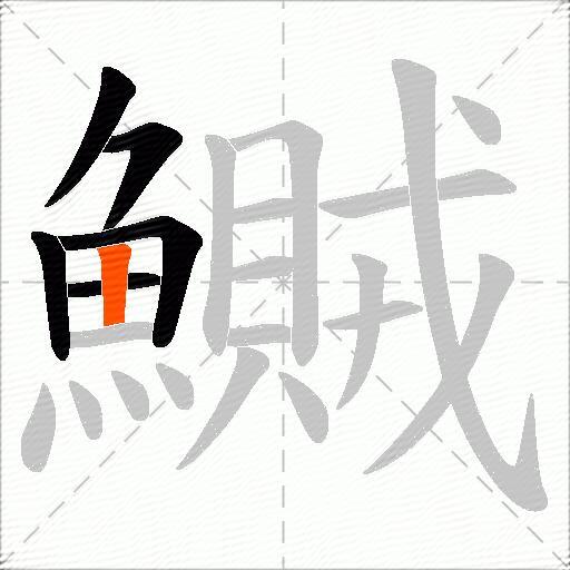 鱡