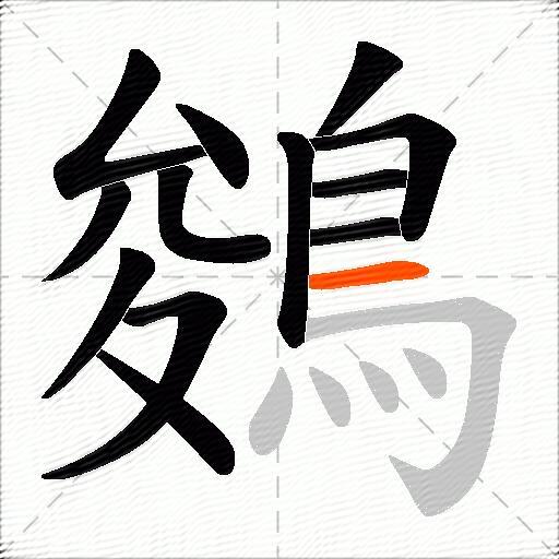 鵕